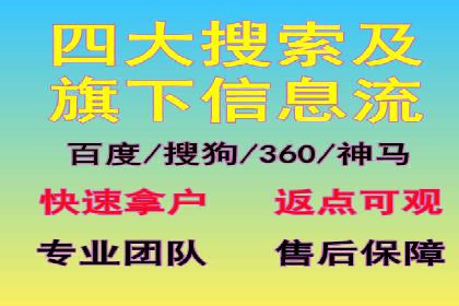 谷歌竞价广告与SEO结合的营销案例解析